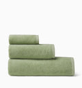 Cielo Palm Bundle (Save 10%)