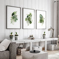 A framed botanical prints set of 3 displaying tropical leaves hung above a console table