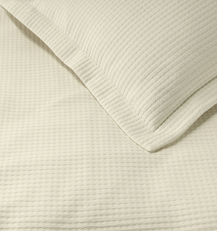 variant__ivory