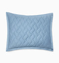 Palatino sham in sea on a white background
